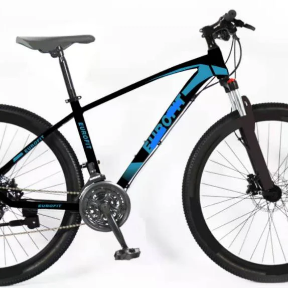 

29 inch nice quality mountain bike customized / painting logo