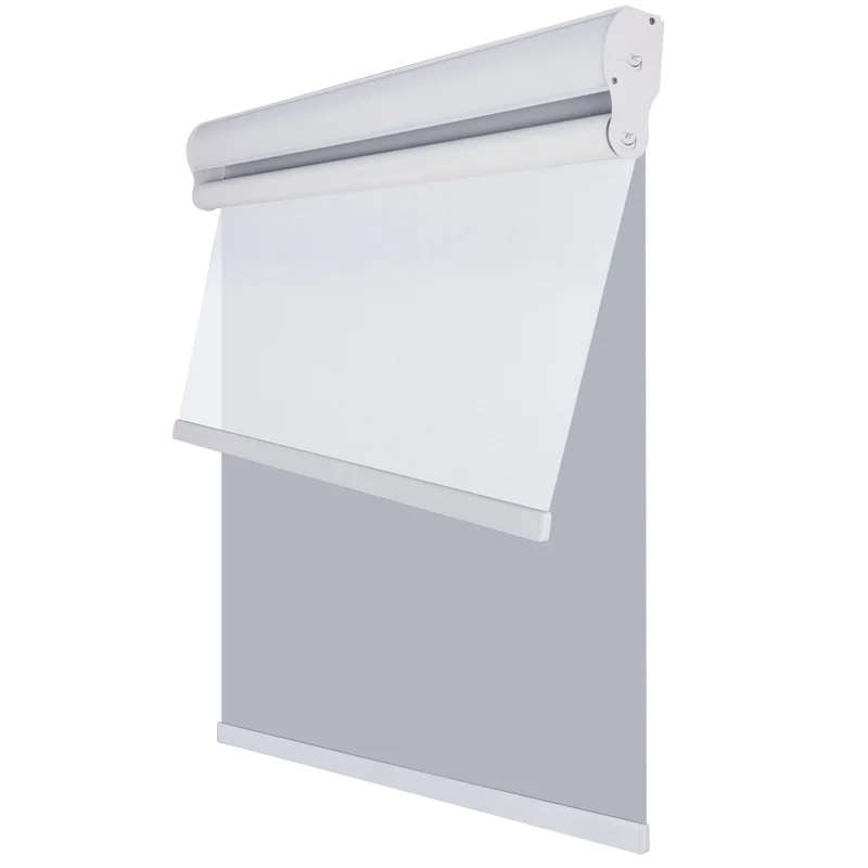 ZSTARR Hotel Window Blinds Day and Night Double Roller Shades Blinds for Living Room Office