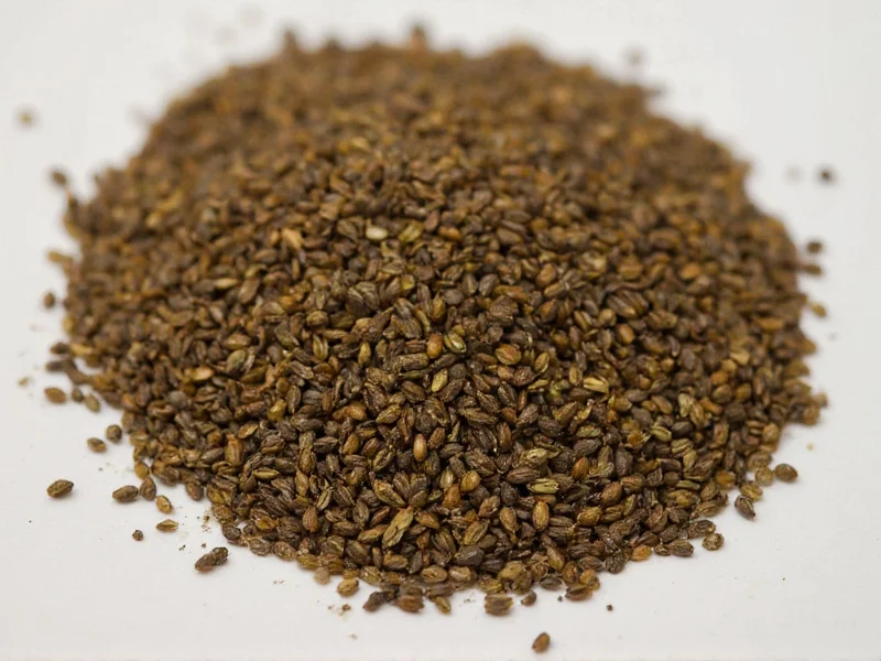 Best Substitutes for Black Mustard Seeds: Practical Guide
