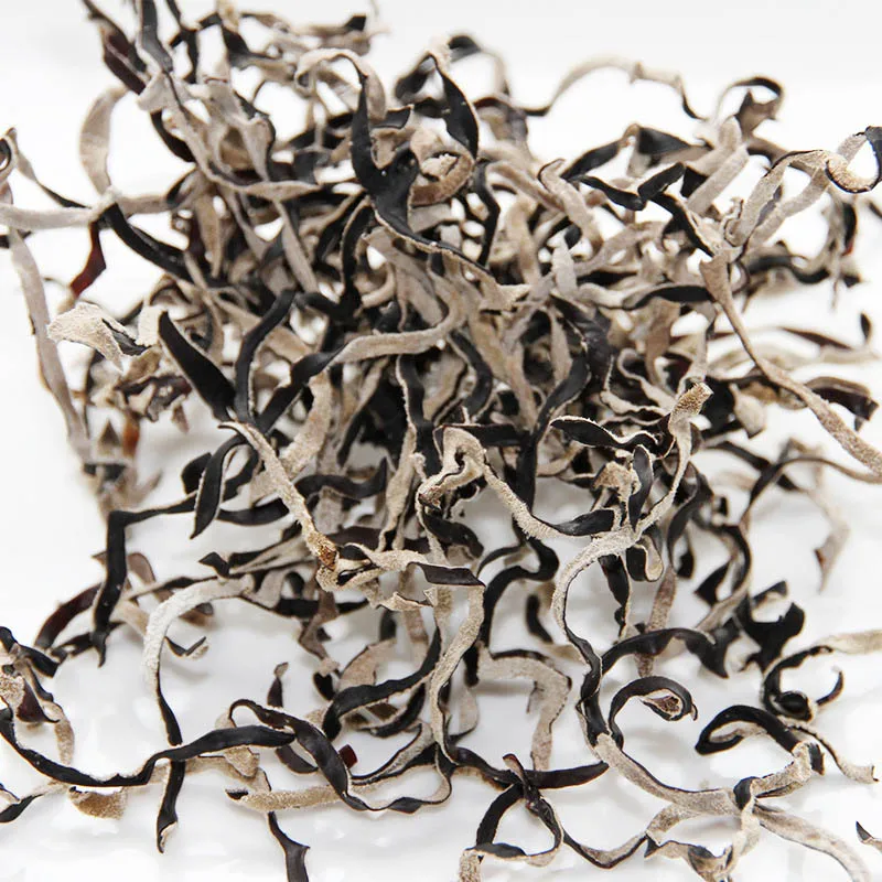 black fungus 1