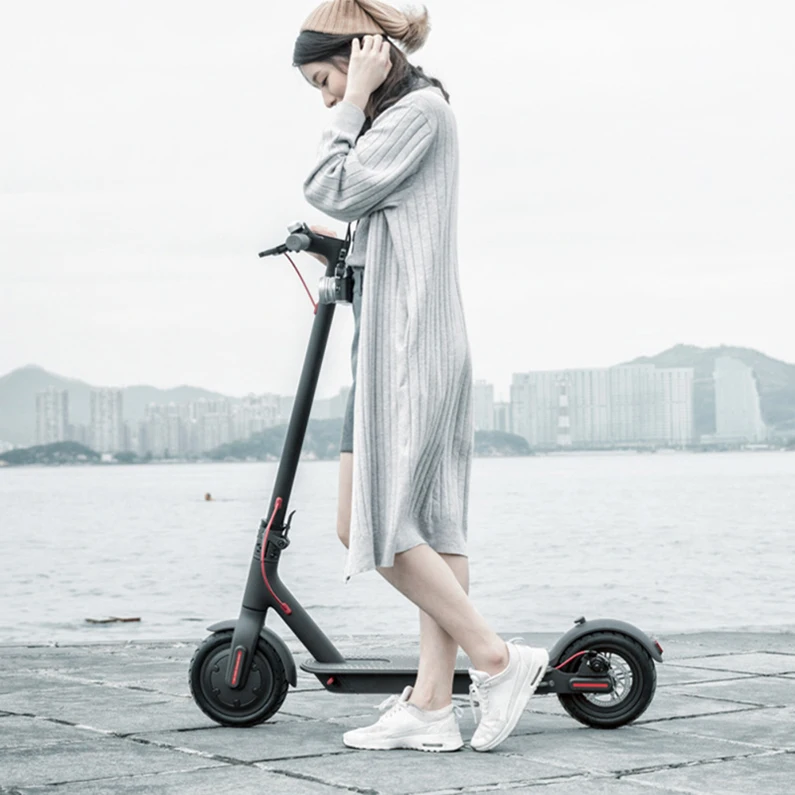 

Factory Cheap Price 250W Dual Motor 2 Wheel Electric Standing Scooter For Adults