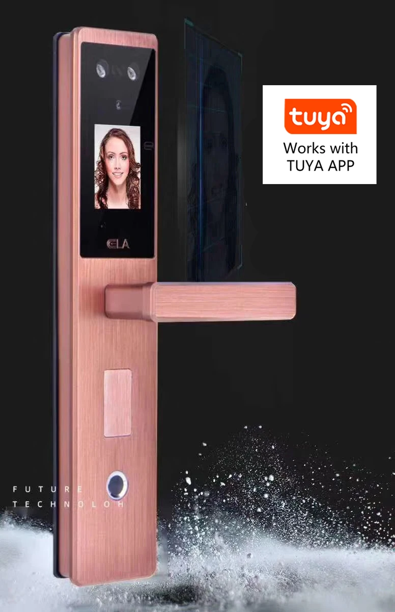 Automatic Digital Wifi Smart Face Recognition Door Lock with Tuya APP - ANKUX.COM