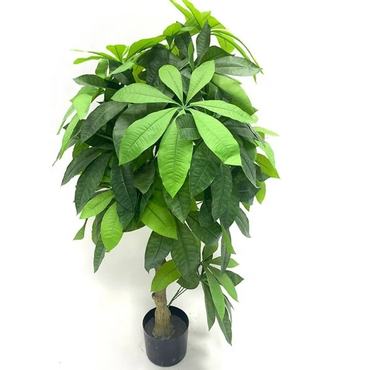

New arrivals high artificial fortune / money tree greenery simulation potted plant, Dark green