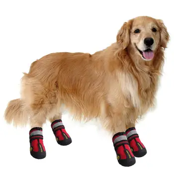 rubber dog shoes