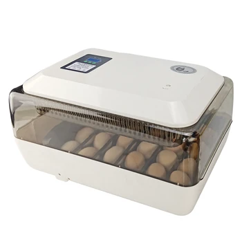 Egg incubator for sale in lahore