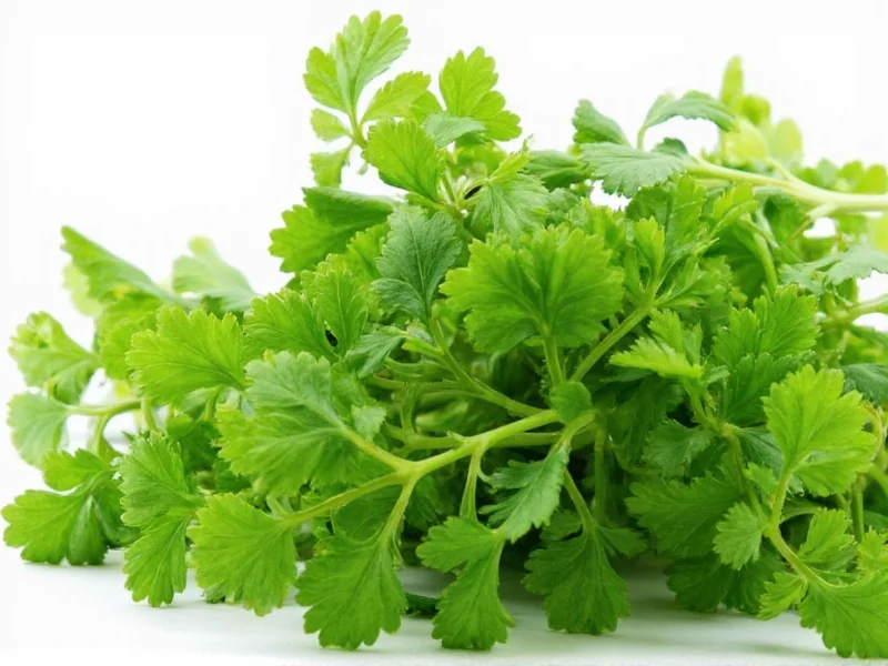 Best Coriander Substitutes: Fresh & Ground Alternatives