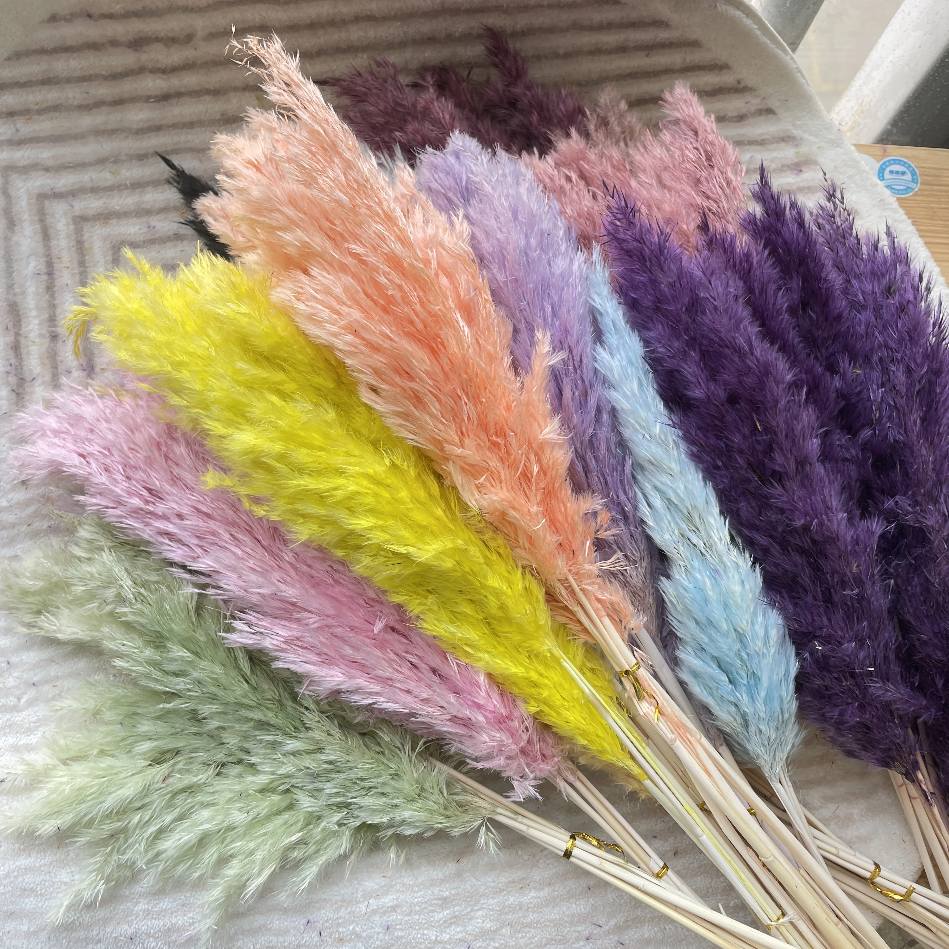 

2023 INS Hot Selling Preserved Pampas Dried Pampas For Wedding Decoration