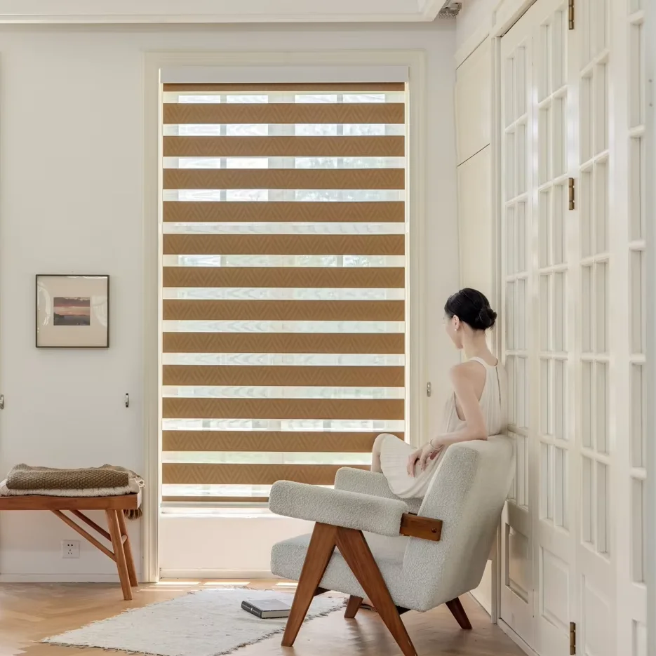ZSTARR Supplier Polyester Plastic Pinhole Aluminium Blinds  Built-in Electronic Smart Motor  Zebra Blinds for Home Office