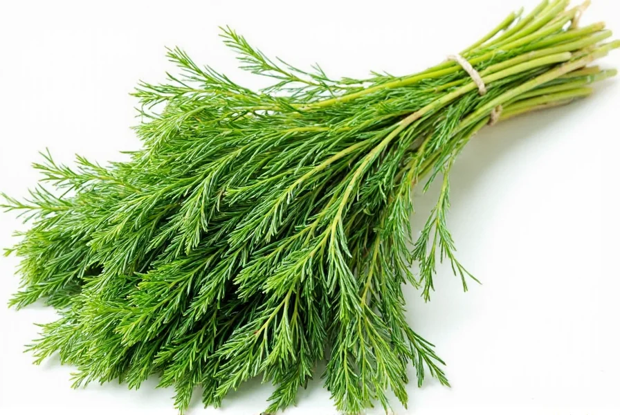 Fresh Dill Bouquet