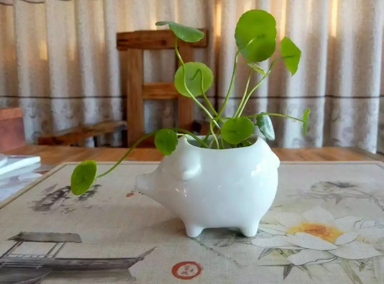 789D8489-9D9F-468D-A9CA-3E8D31932D63