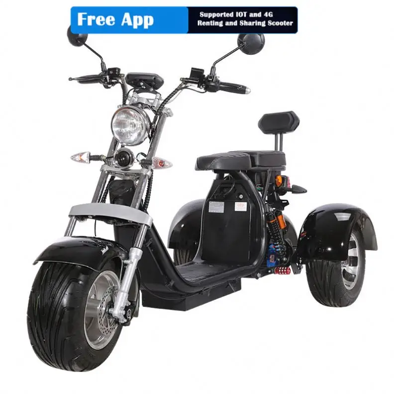 

EEC COC Europe Warehouse 3 Wheel Citycoco 2000W 20Ah Electric Motorcycle, Black white blue red yellow and custom