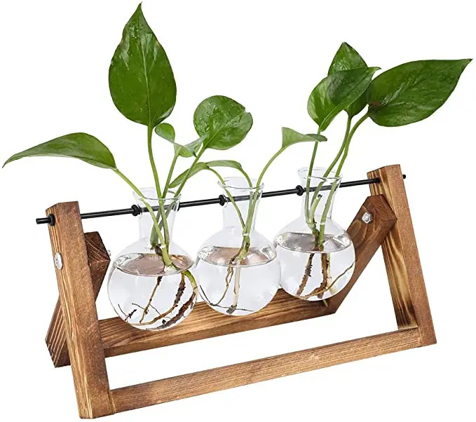 

Home Office Decoration Plant Terrarium Tabletop Hydroponics Air Planter Holder 3 Bulb Glass Vase Retro Wood Air Planter, Retro brown