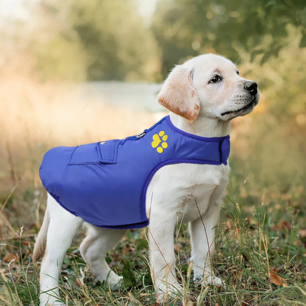 

Customized double-sided cotton vest with dog strap and safety vest for puppy
