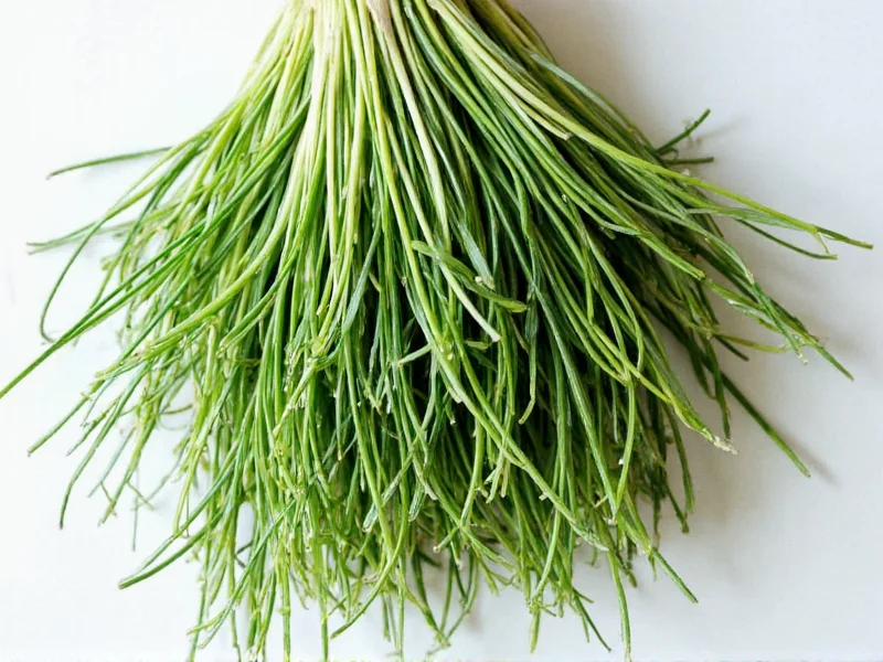 Best Chive Substitutes: Top Alternatives for Cooking