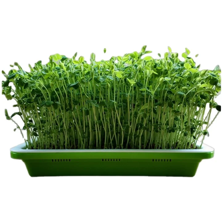 

Sprouter Tray with Lid Hydroponic Grow Tray Thickened for Micro Greens Grow Fresh Germination Nursery Tray, Green