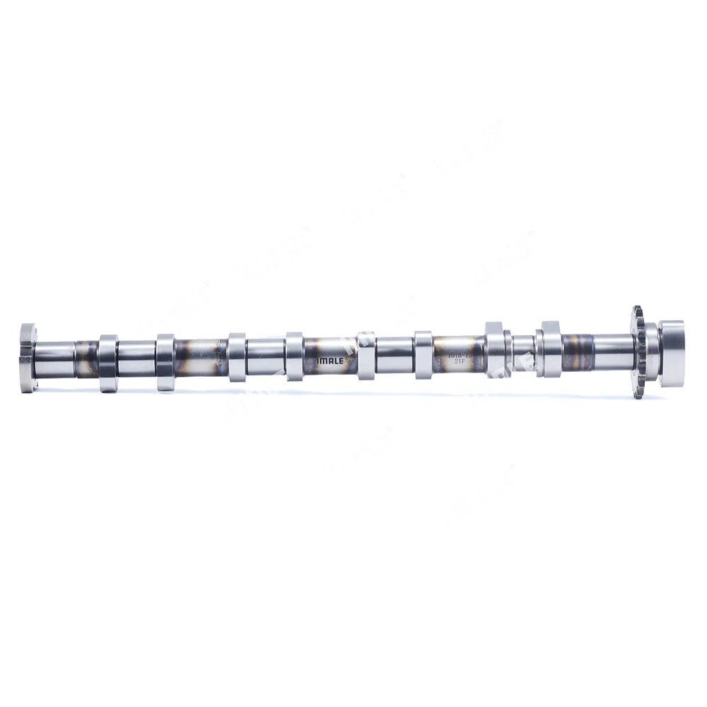 

Cheap Price 06f109101b Engine Intake Camshaft Cam For Audi A3 A4 A6 2.0tsi