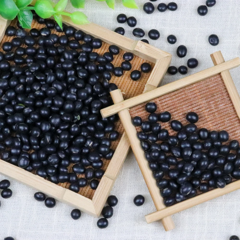 
2020 New Crop Wholesale Bulk Black Soy Beans 