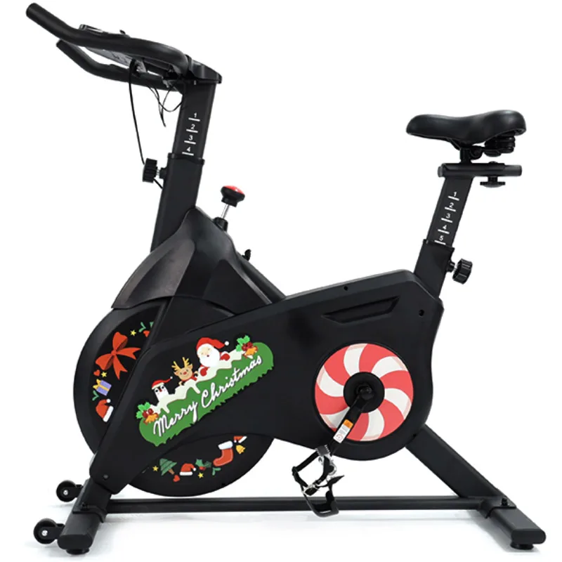 

SD-S502 Christmas hot sale indoor fitness equipment magnetic control smart spinning bike