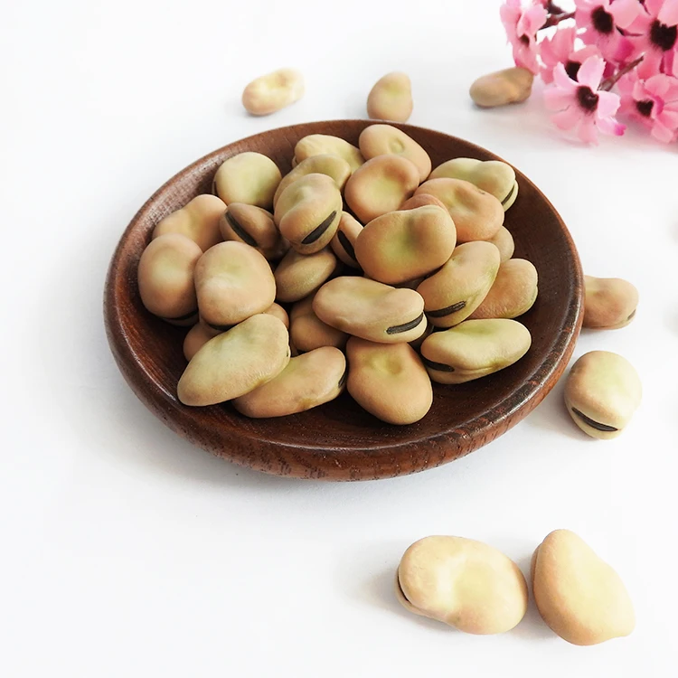 
Hot Sale Horse Bean Bean Babas Wholesale 