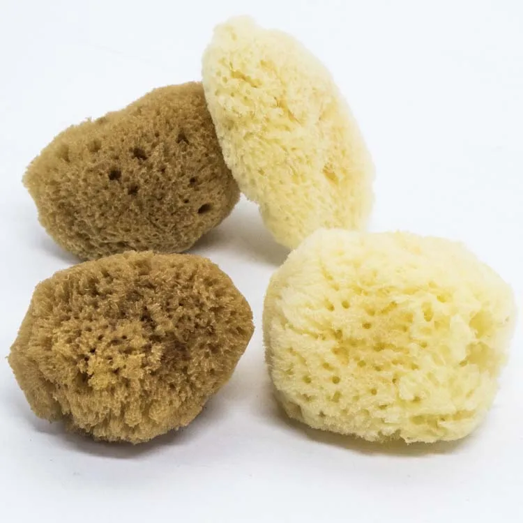

Get It Wholesale Fine Natural Silk Mini Sea Sponge For Pore Cleansing