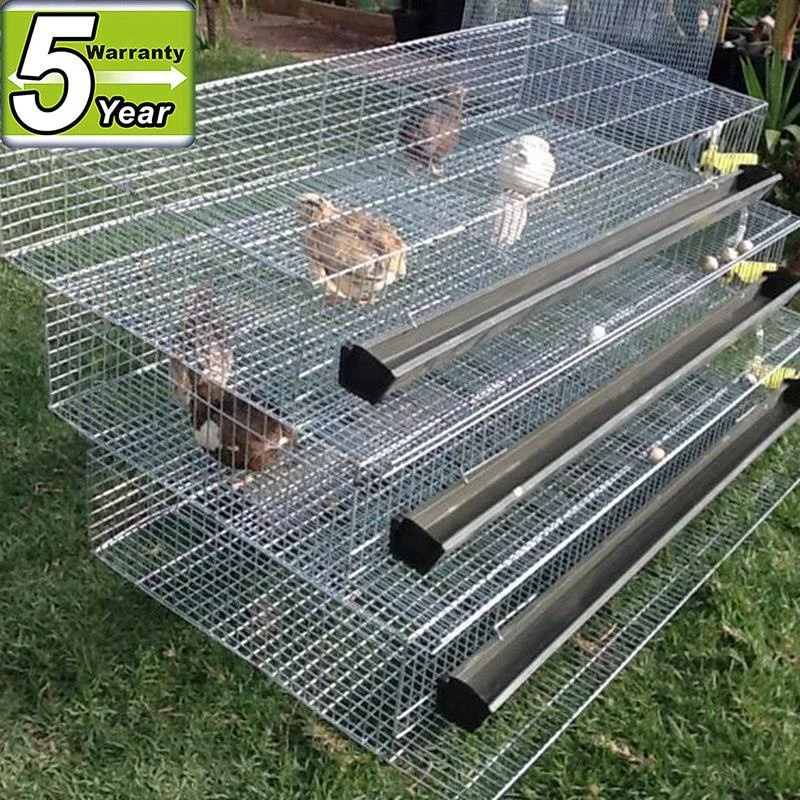 Cages Of Quails (professional Manufacturer Supply) Buy Cages Of