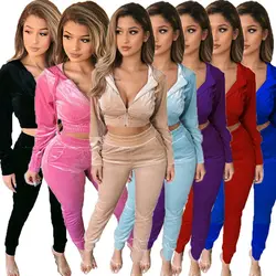 wholesale Fashion Crop Top 2 Piece Set Velvet Sweatsuit 2021 Fall Hooded two piece Women Velour Track suit