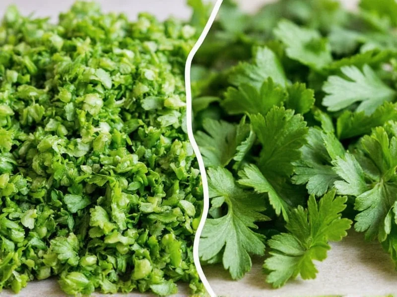 Dry Cilantro vs Fresh: Key Differences & When to Use Each