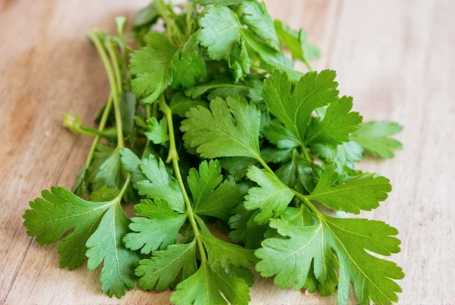 Thai coconut soup with cilantro