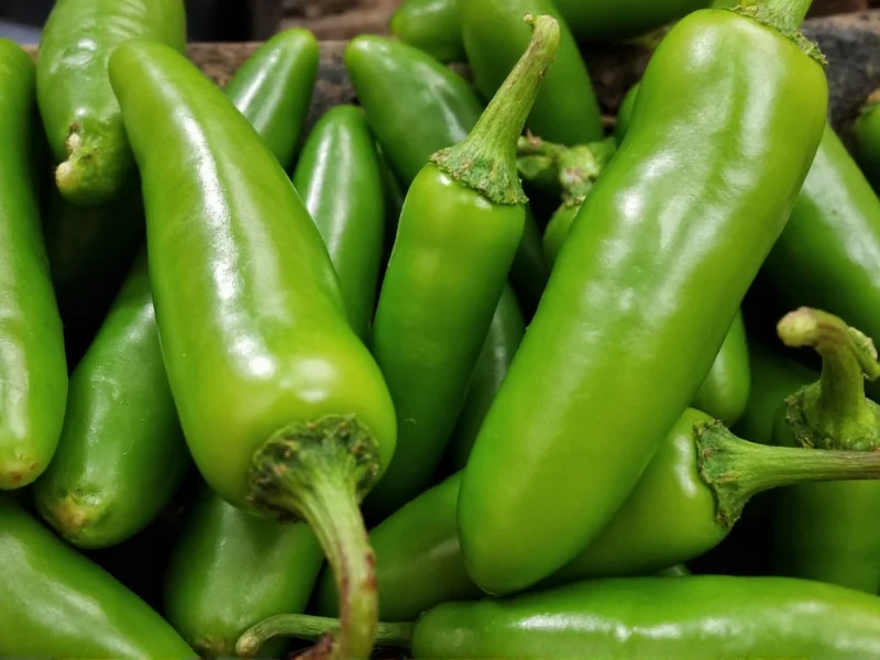 Serrano Peppers: Culinary Uses and Health Benefits