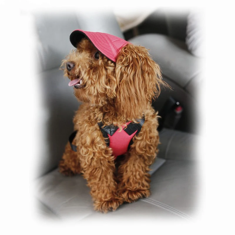 

Pets Accesories Dog Products Sport Baseball Outdoor Pet Hats Sunbonnet Sun Protection Pet Supplies, Picture