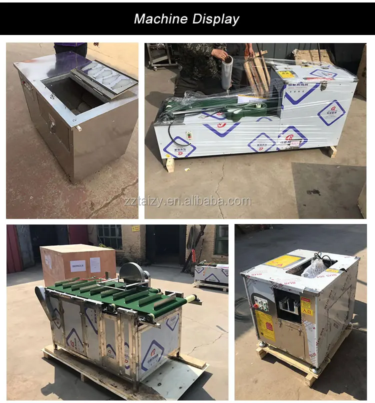 industryprocessingmachinery fish processing plant salmon fish heads cutting machine