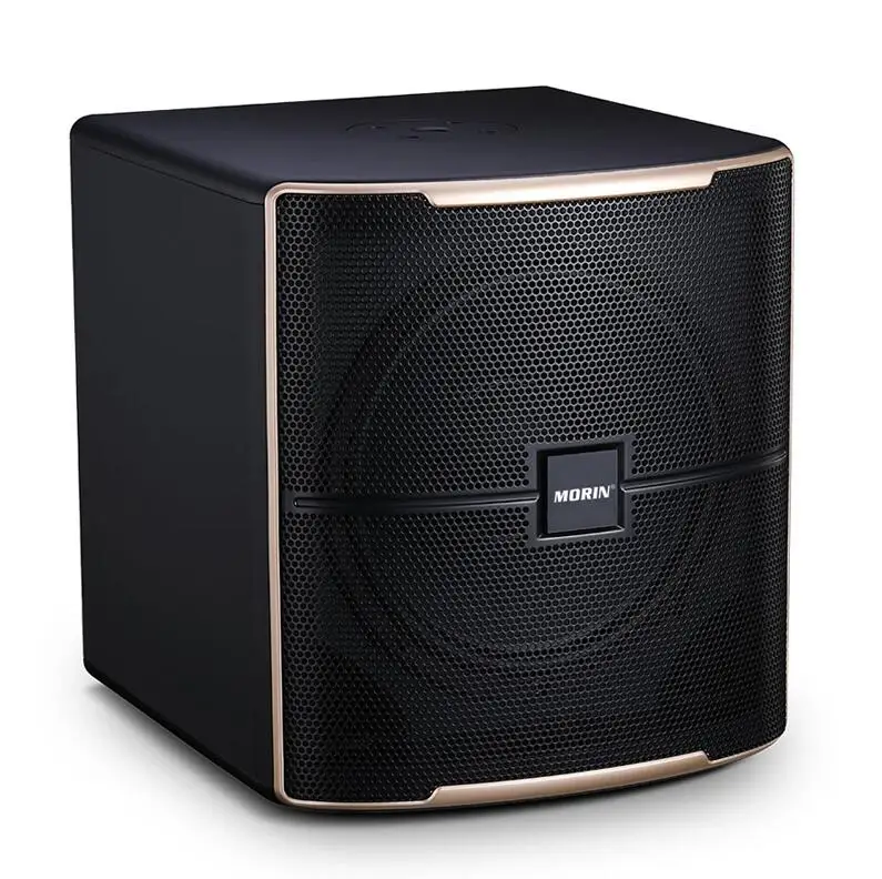 

popular use 12 inch powered karaoke subwoofer