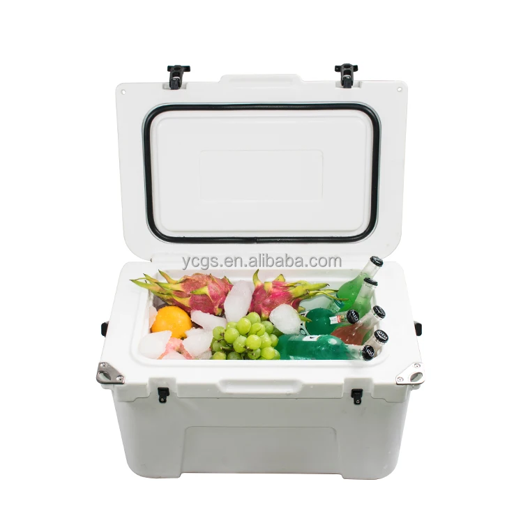

High quality portable temperature controlled food cooler box, Customized color