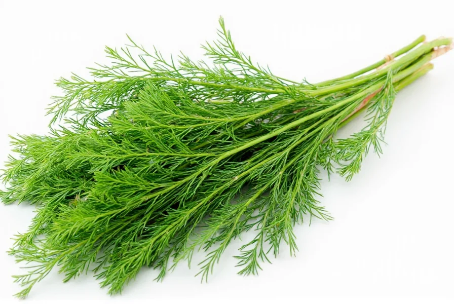 Fresh dill in jar refrigerator
