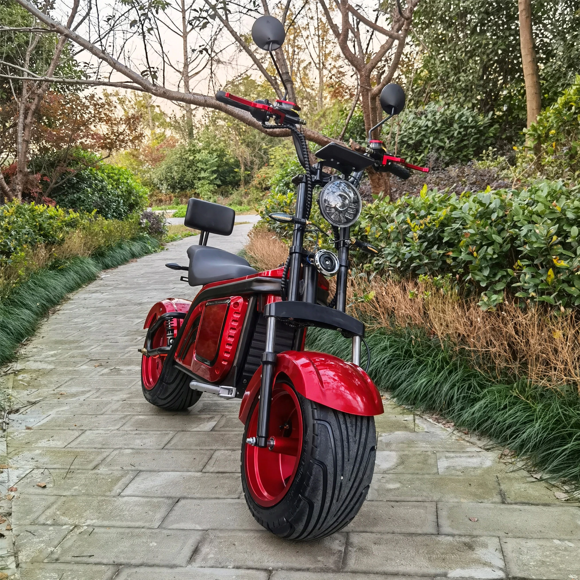

EU Warehouse EEC Good Quality Durable Performance For Electric Scooter