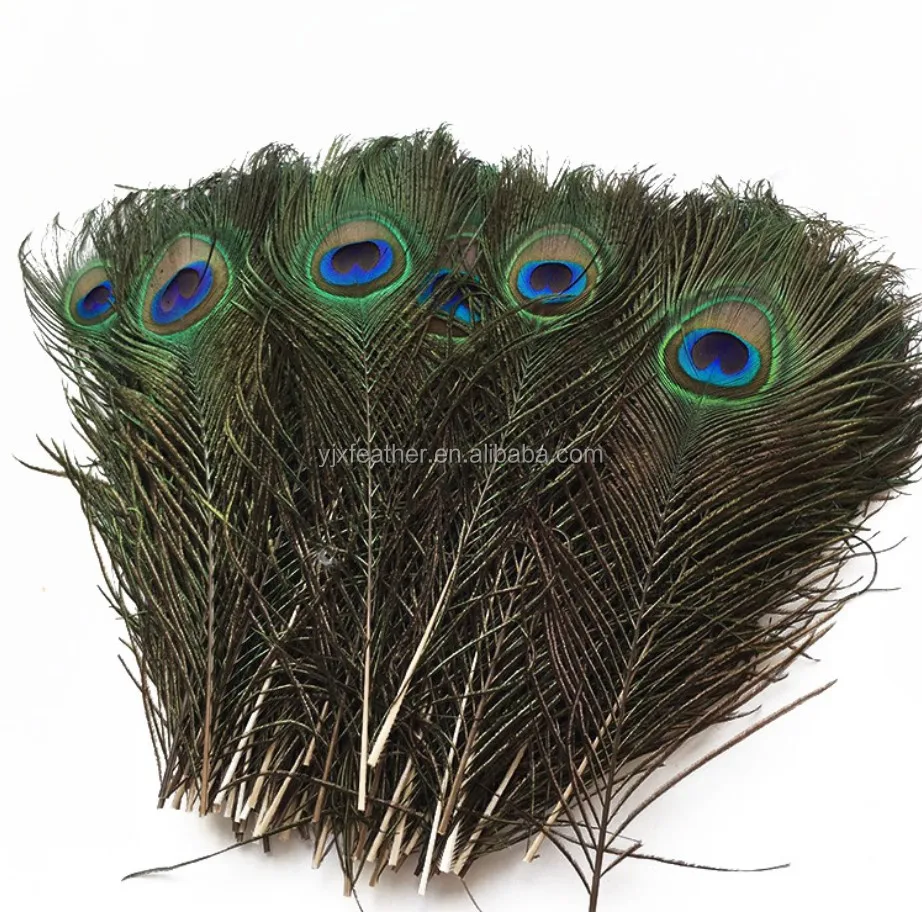 Wholesale Cheap Beautiful Dyed Artificial Peacock Feathers For Sale