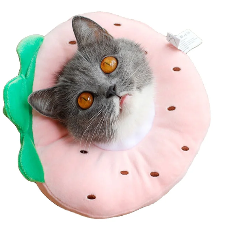 

UFBemo cute fruit shape high quality wholesale Summer cat collar Sweet style pet collar cooling collar