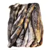 Good price Best quality seafood eel fish for sale
