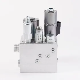 Manifold Block