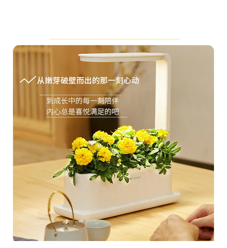 

herb garden indoor planting vertical nft hydroponic growing