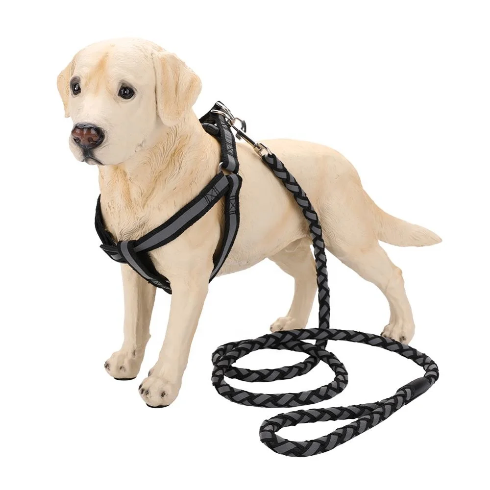 Pet Products Best Selling Pet Collar And Leash For Puppy Cute Dog Collar