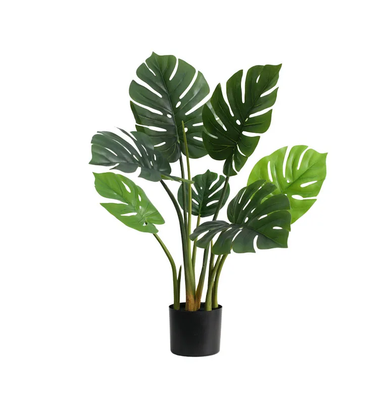 

Good quality outdoor indoor decor plastic tall stand deliciosa monstera adansonii bonsai live plant