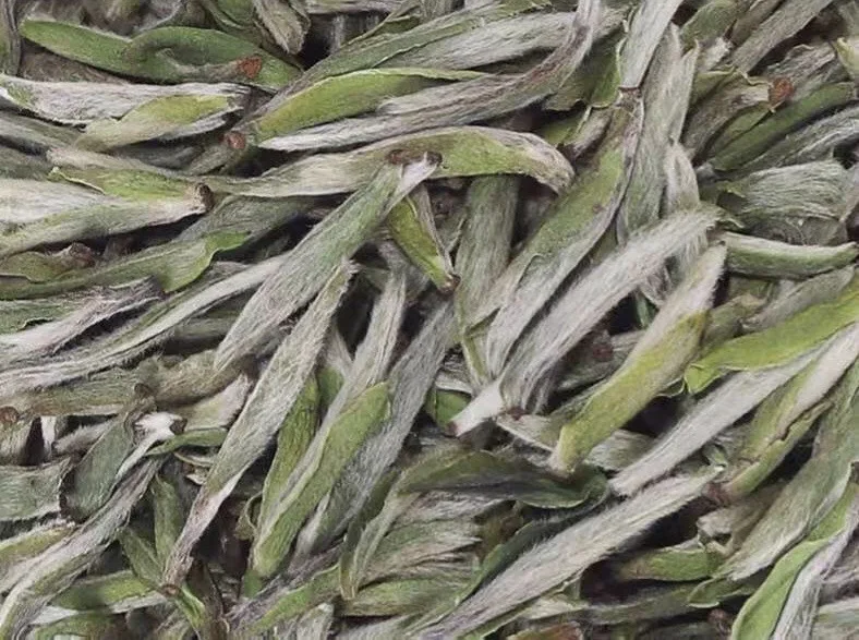 Wholesale white tea Fujian Organic Tea Pekoe - 4uTea | 4uTea.com