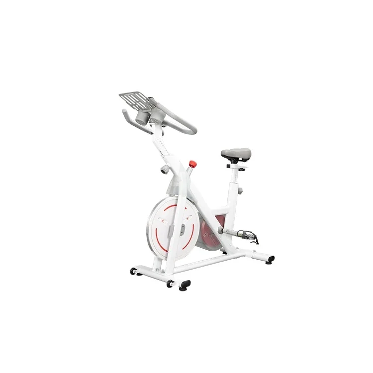 

SDS-Y 2021 Hot products home magnetic exercise spinning bike with competitive prices, White