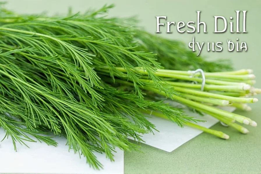 What Does Fresh Dill Look Like: Visual Identification Guide