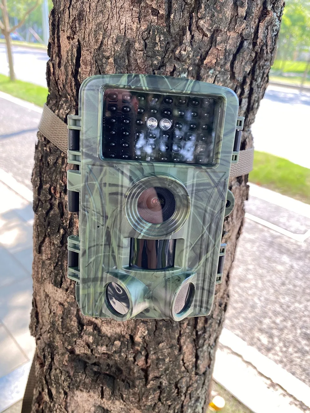 Customer photo: PR1600 trail camera mounted on a tree