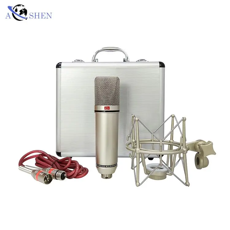 

wholesale Professional Studio Recording Microphone with Shock mount Live Broadcast Condenser Microphone