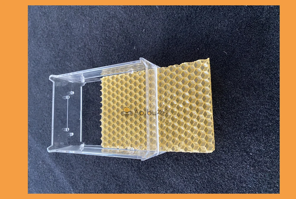 500g Plastic Comb Honey Frames And Cassettes Set Honeycomb Making Box Apiculture Beekeeping