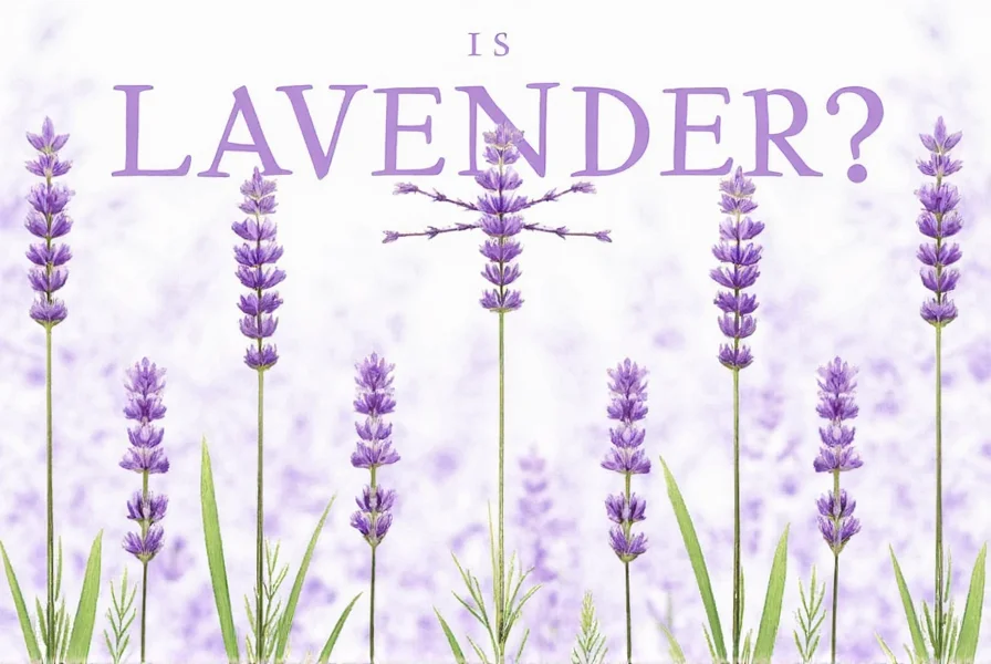 is lavender edible a whimsical guide to the flower that s more than just pretty