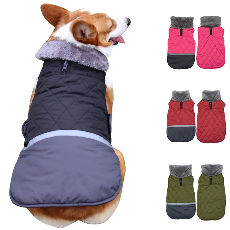 Vendors for dog clothes Clearance